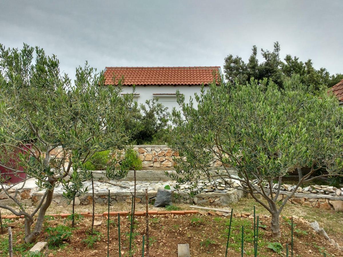 Summer Cottage With Breathtaking View Zečevo Exterior foto